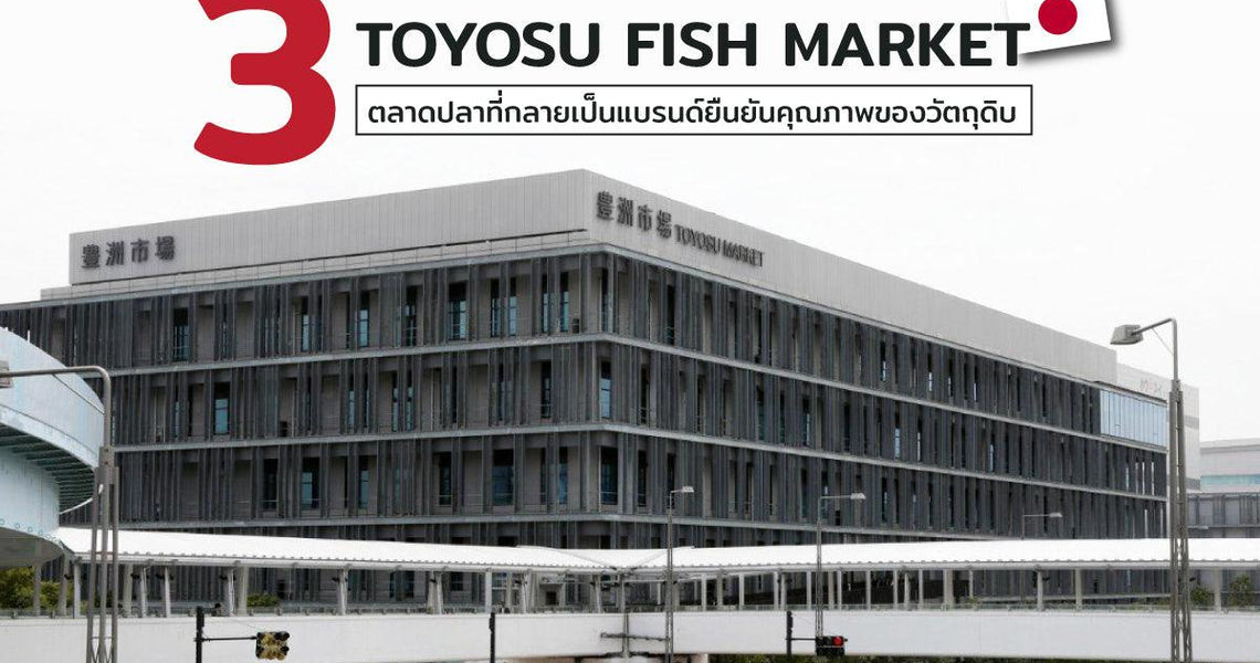 3 โซนประมูล Toyosu Fish Market ตลาดปลาที่กลายเป็นแบรนด์ยืนยันคุณภาพของวัตถุดิบ