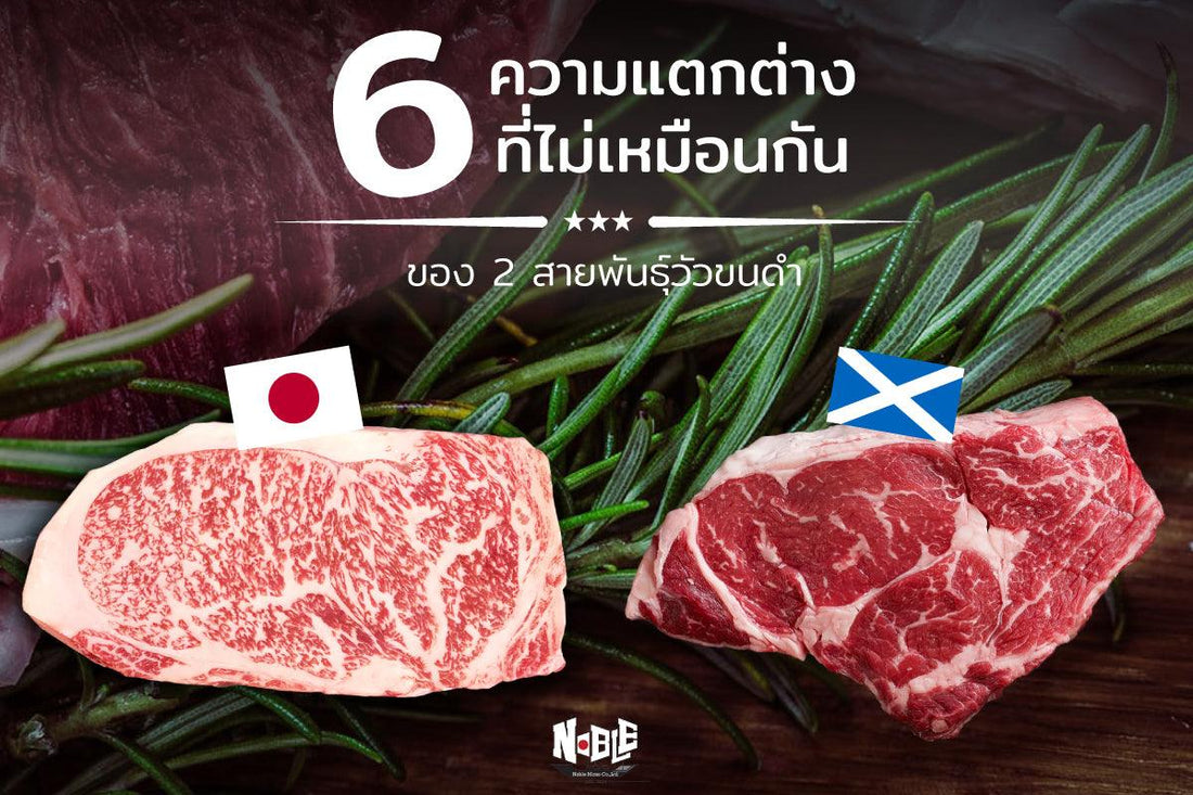 6 ความแตกต่าง ที่ไม่เหมือนกัน ของ 2 สายพันธุ์วัวขนดำ - NobleMono