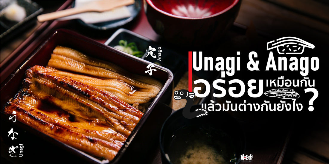 Unagi & Anago ปลาไหลญี่ปุ่น รู้แค่อร่อย แล้วมันต่างกันอย่างไร? 