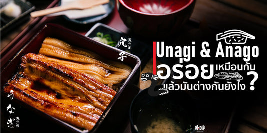 Unagi & Anago ปลาไหลญี่ปุ่น รู้แค่อร่อย แล้วมันต่างกันอย่างไร? 