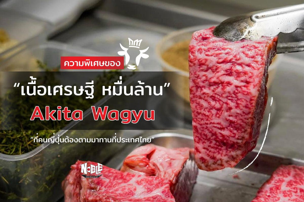 Akita Beef ความพิเศษของเนื้อเศรษฐี หมื่นล้าน