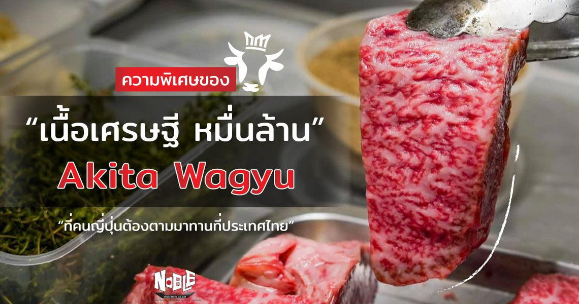 Akita Beef ความพิเศษของเนื้อเศรษฐี หมื่นล้าน