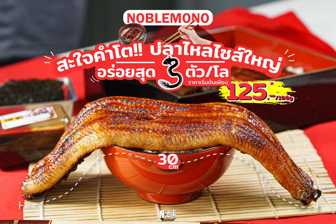 Unagi ปลาไหลไซส์ 3 ตัว/โล ย่างซอสคาบายากิสูตรพิเศษ - NobleMono