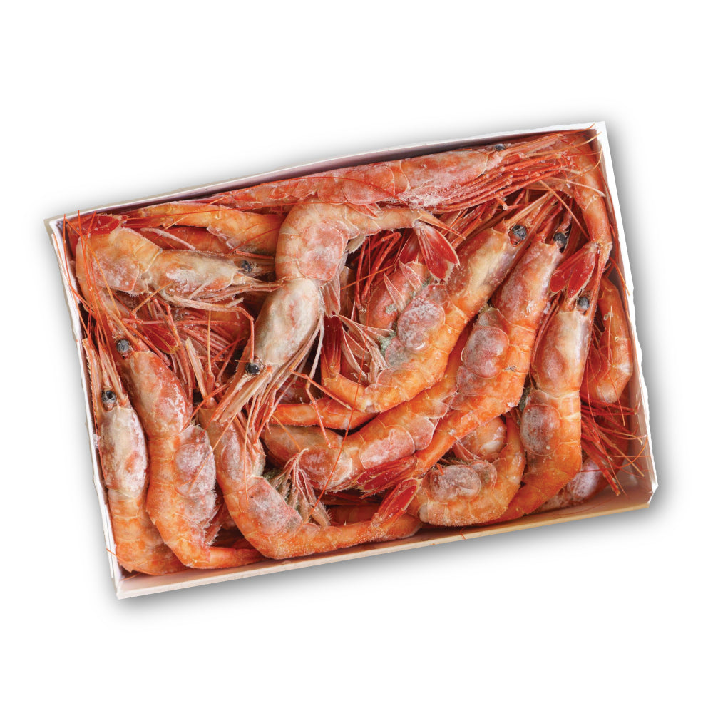 Frozen Ama Ebi (กุ้งอามะ เอบิ แช่แข็ง)