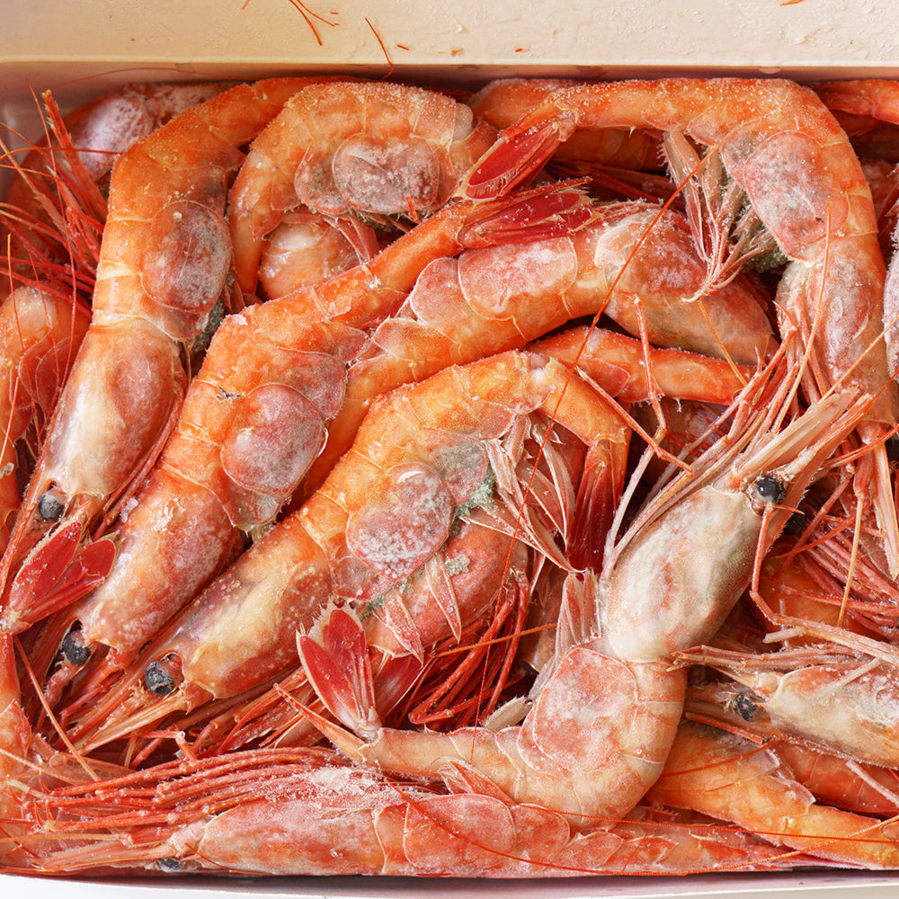 Frozen Ama Ebi (กุ้งอามะ เอบิ แช่แข็ง)