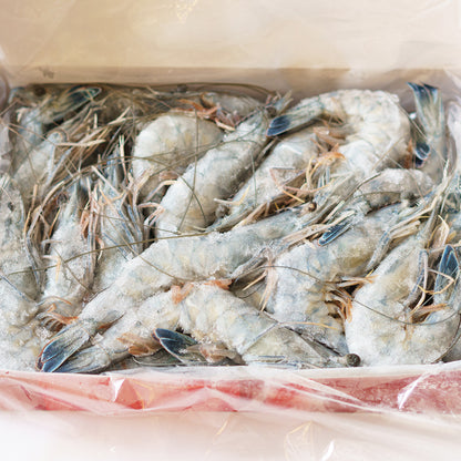 Frozen Blue Shrimp (กุ้งนางฟ้านิวแคลิโดเนีย แช่แข็ง)
