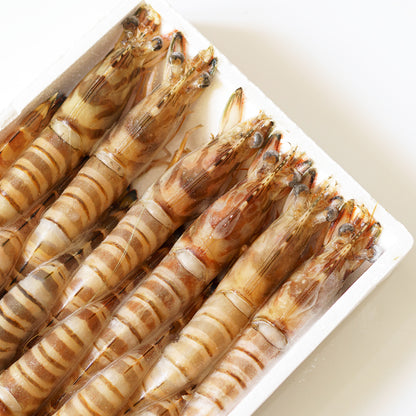 Frozen Kuruma Ebi (กุ้งคุรุมะ เอบิ แช่แข็ง)