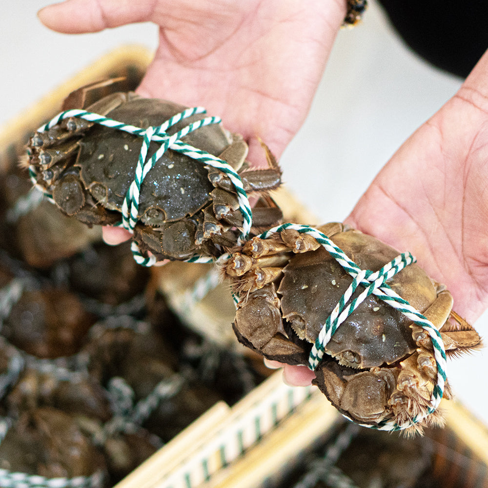 Shanghai Crab (ปูขนเซี่ยงไฮ้)