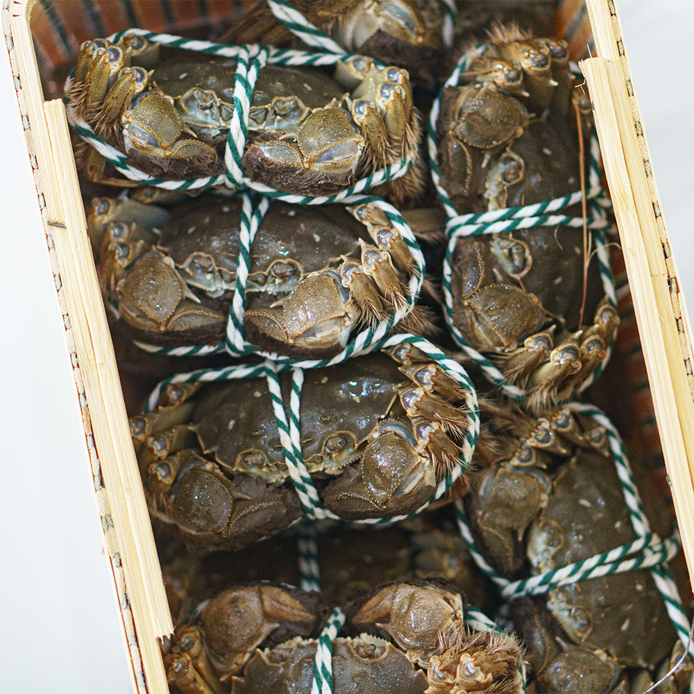 Shanghai Crab (ปูขนเซี่ยงไฮ้)