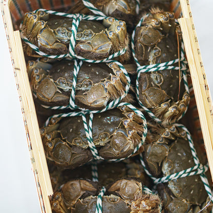 Shanghai Crab (ปูขนเซี่ยงไฮ้)
