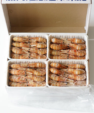 Frozen Botan Shrimp - NobleMono
