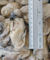 Frozen Oyster Meat - NobleMono