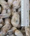 Frozen Oyster Meat - NobleMono