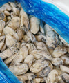 Frozen Oyster Meat - NobleMono