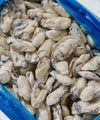 Frozen Oyster Meat - NobleMono