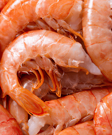 Frozen Red Argentine Shrimp With Shell, No Head - NobleMono