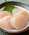 Frozen Scallop Meat - NobleMono