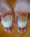 Frozen Scallop Meat - NobleMono