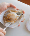 Frozen Whole Scallop Sarufutsu - NobleMono