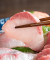 Frozen Yellowtail Fillets - NobleMono